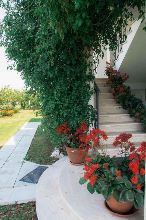 Luce Di Sole Apartment Ulcinj Eksteriør billede